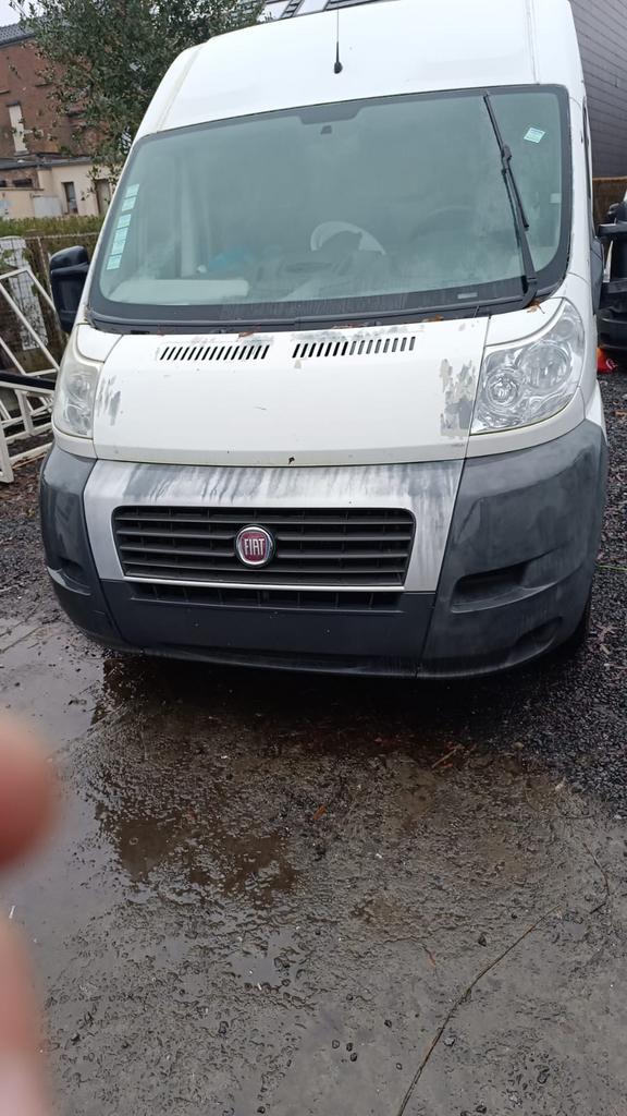 Fiat ducato, Autos, Camionnettes & Utilitaires, Achat, Entreprise, Diesel, Fiat
