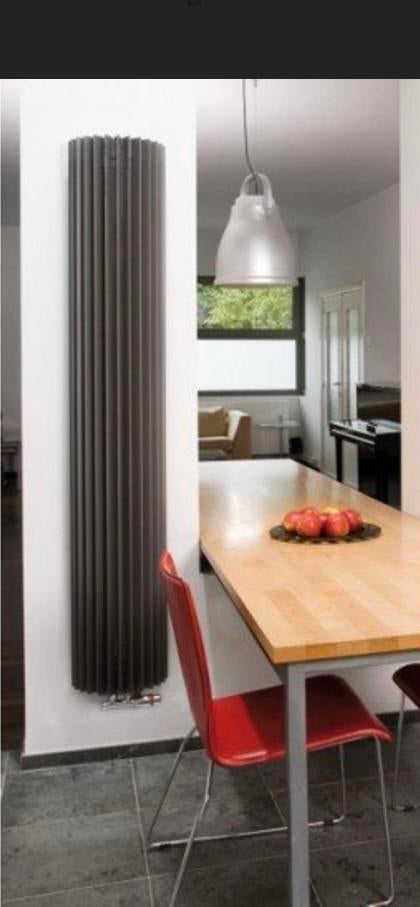 Jaga iguana circo desingeadiator wand montage, Ophalen, Zo goed als nieuw, Radiator