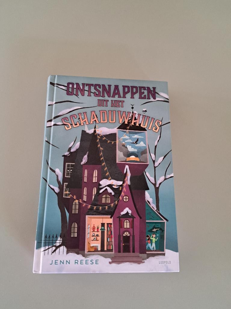 Boek Ontsnappen uit het Schaduwhuis, Ophalen of Verzenden, Nieuw, Jen Reese, Fictie
