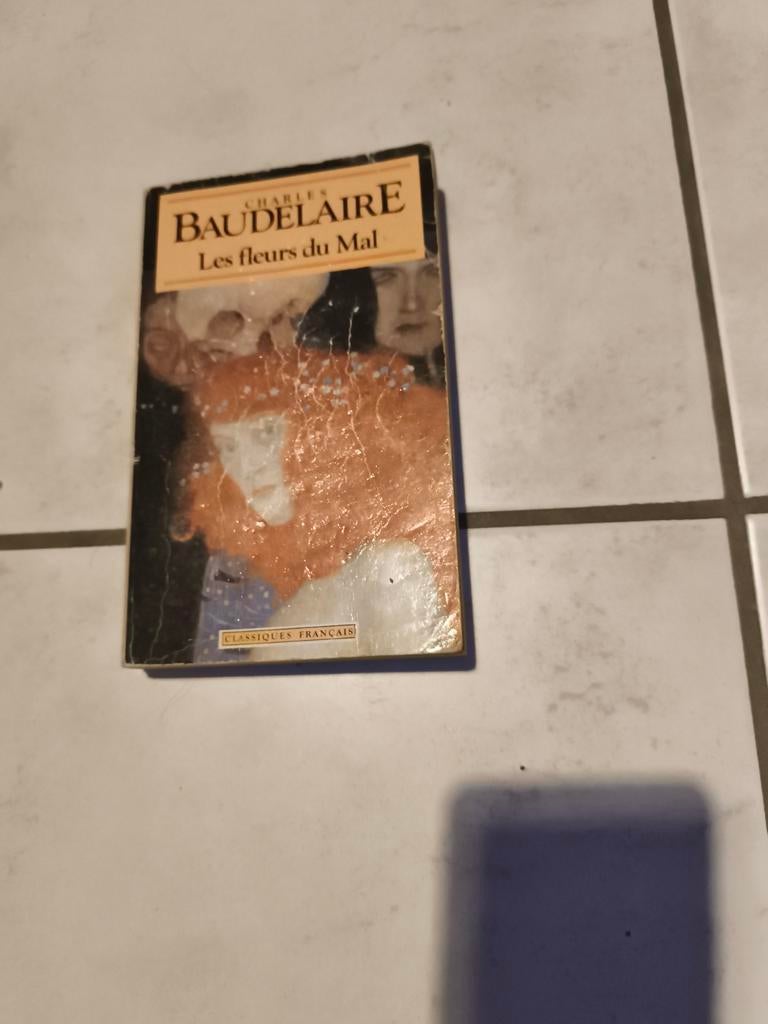 Livre Les Fleurs du Mal par Charles Baudelaire, Livres, Enlèvement ou Envoi, Un auteur, Charles Baudelaire, Utilisé