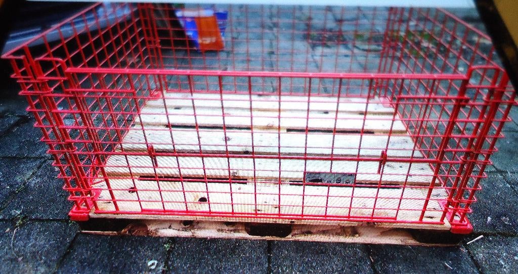 Caisse en treillis métallique, palette, Bricolage & Construction, Bois & Planches, Enlèvement, Neuf, Palette