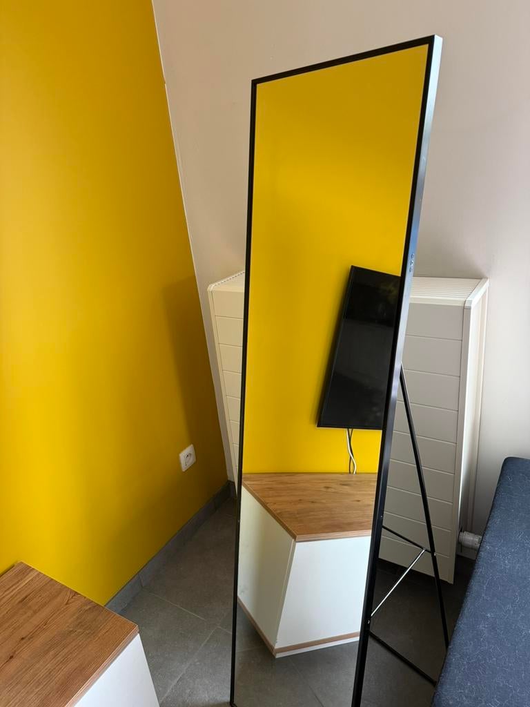 Staande spiegel, Huis en Inrichting, Woonaccessoires | Spiegels, Zo goed als nieuw, 50 tot 75 cm, 150 tot 200 cm, Rechthoekig