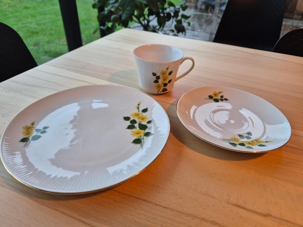 koffieservies Bavaria Winterling, Enlèvement